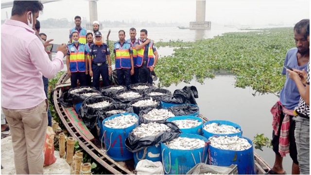 ৬ হাজার কেজি জাটকা ফেলে পালাল পাচারকারীরা