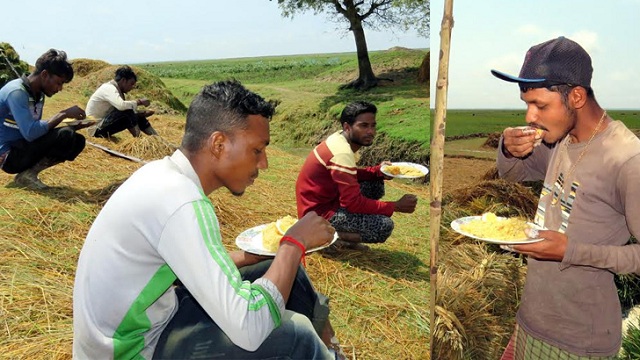 বেতনের টাকায় ৫০০ শ্রমিকের খাবার যোগালেন ইউএনও