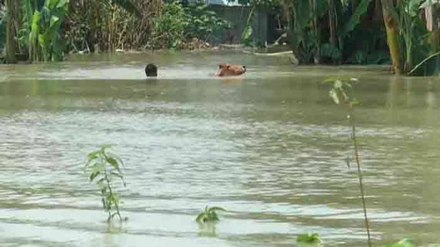 দেশে বন্যায় আরও ৯ জনের প্রাণহানি