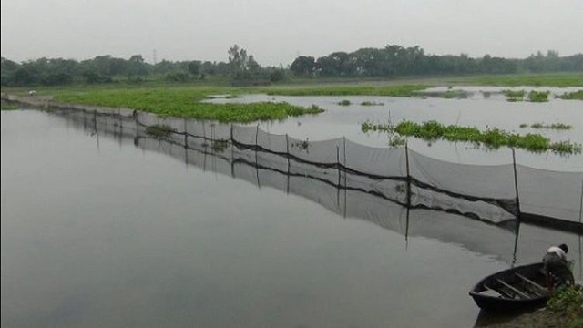 বেকার যুবকদের প্রজেক্টের মাছ ভাসিয়ে দিল দুর্বৃত্তরা