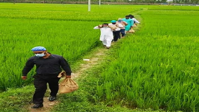 দুর্গাপুরে কাঁধে করে আদিবাসী পল্লিতে ত্রাণ পৌঁছে দিলেন চেয়ারম্যান ও ইউএনও
